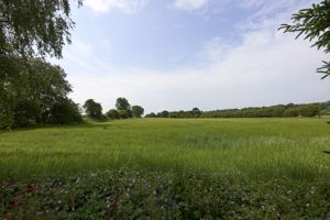 Photo 21- click for photo gallery